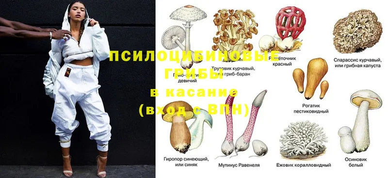 даркнет сайт  дарк нет как зайти  Псилоцибиновые грибы Psilocybe  Любань 